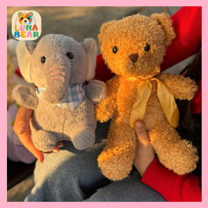 Gấu bông nhỏ 25cm